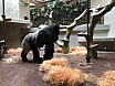 Klasse 1a: Schulreise in den Zoo Basel