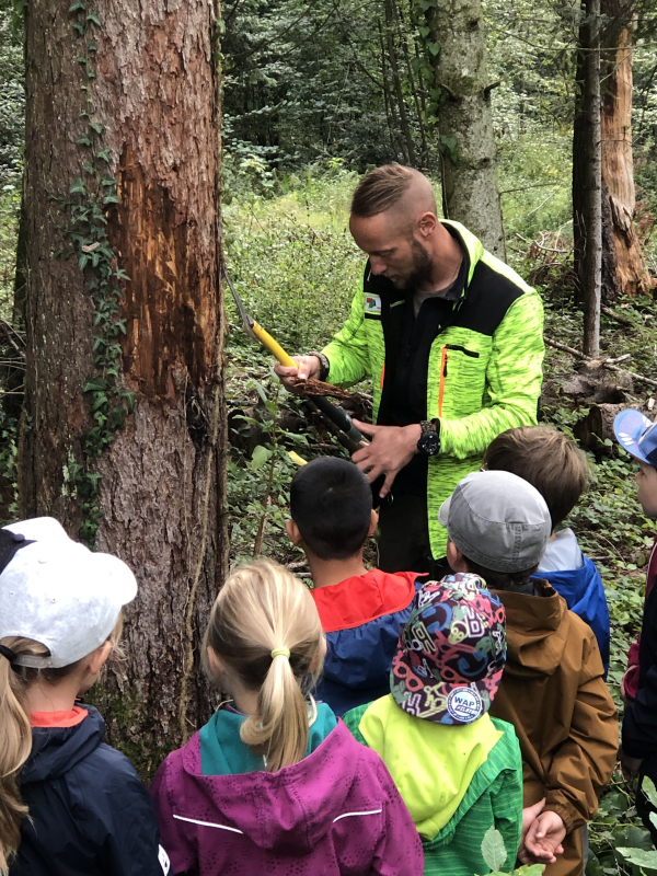 Waldmorgen 2a, b und c